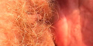 european,hairy,hairy mature,hairy pussy,homemade,mature,pussy,red,wife,